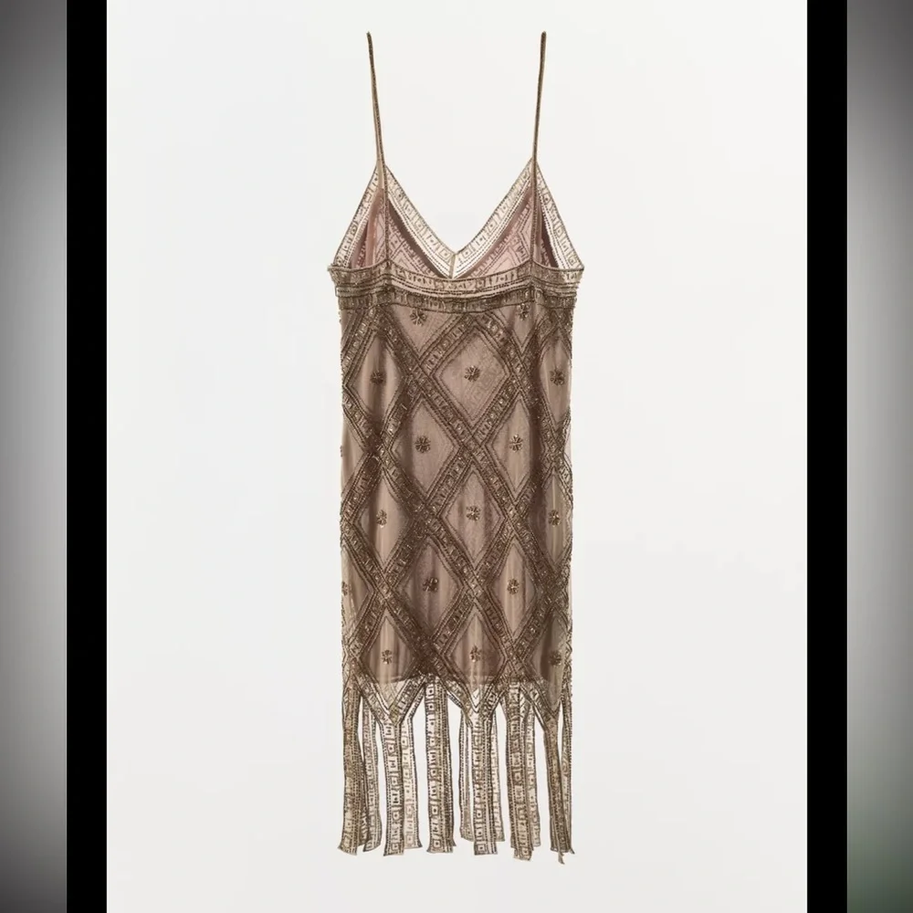 Zara limited edition EMBROIDERED TULLE Mini DRESS - Picture 7 of 15